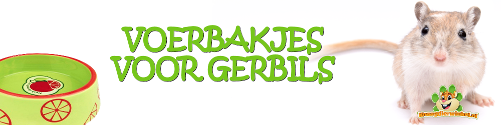 Food bowls for gerbils, gerbil food bowl in the gerbil webshop