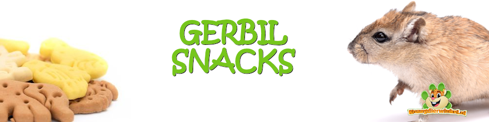 Gerbil snacks for gerbils in the gerbil webshop