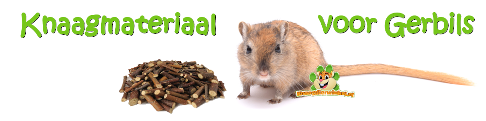 gerbil knaagmateriaal voor gerbils in de gerbil webshop