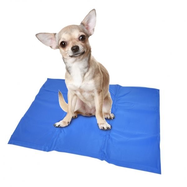 Gel Koelmat voor honden Pets Gifts
