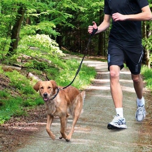 Hardlopen met de hond
