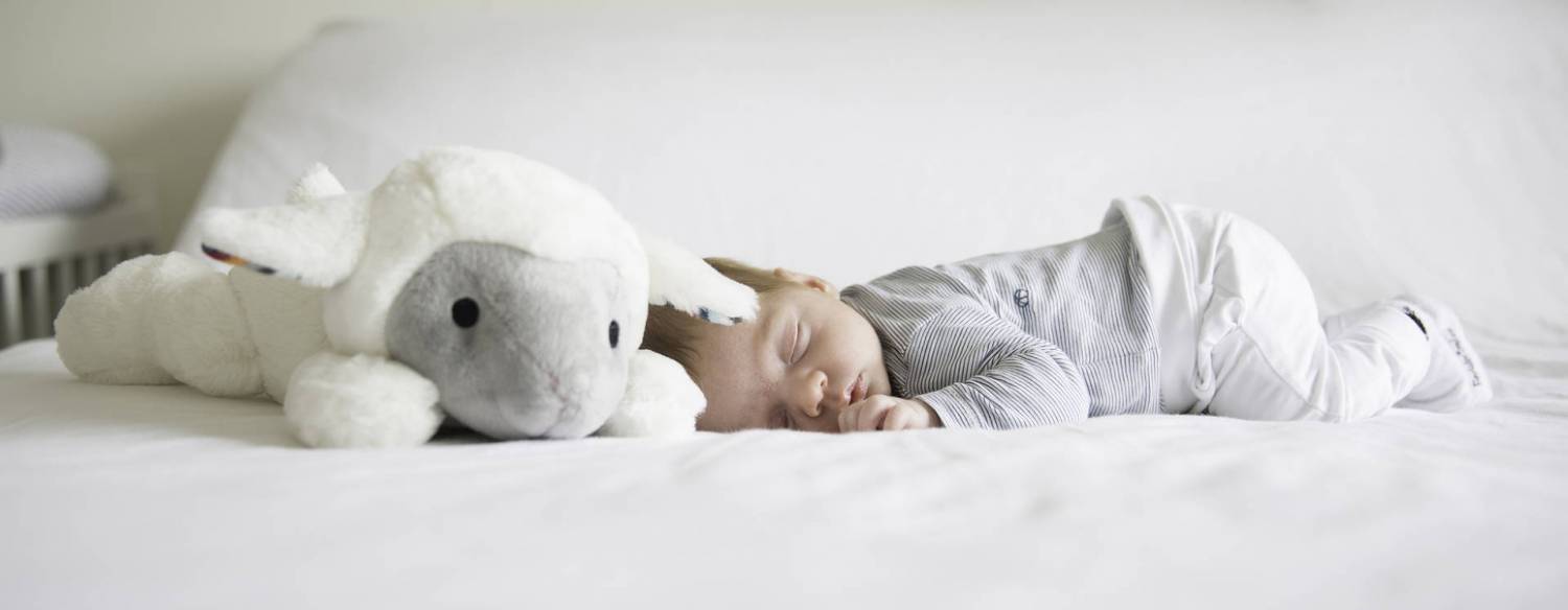 De unieke eigenschappen van een knuffel met hartslag