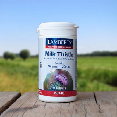 Lamberts Milk Thistle (Mariadistel)