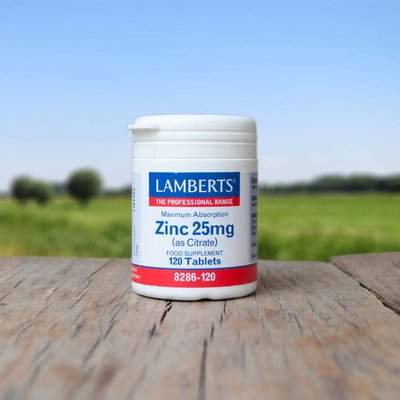 Lamberts Zink 25mg