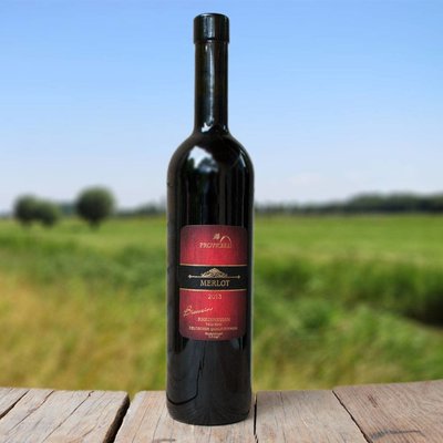 Bio Merlot 2013, histamine-arm