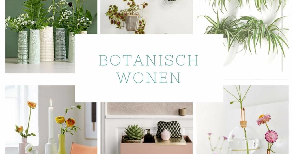 Botanische trend past heel goed bij Scandinavisch wonen
