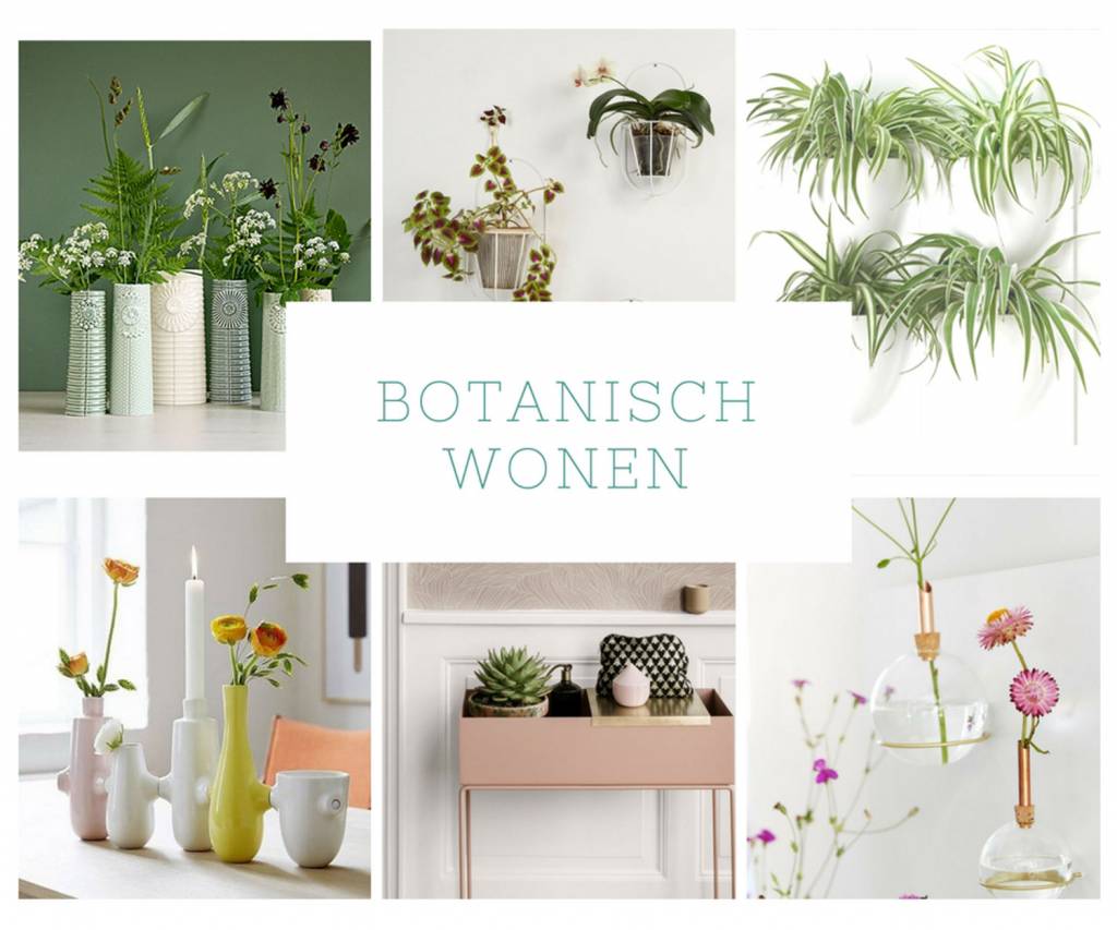 Botanische trend past heel goed bij Scandinavisch wonen