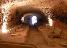 Celler del Roure