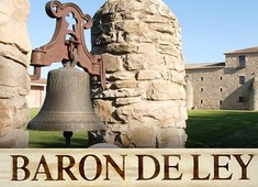 Barón de Ley