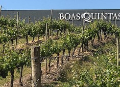 Boas Quintas