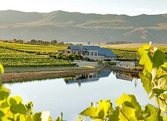 Creation Wines