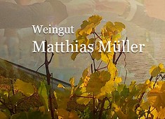Matthias Müller