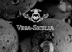 Vega Sicilia