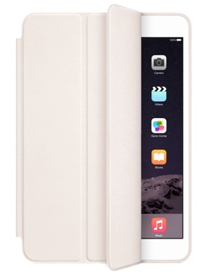 iPad Air Smart Case Wit
