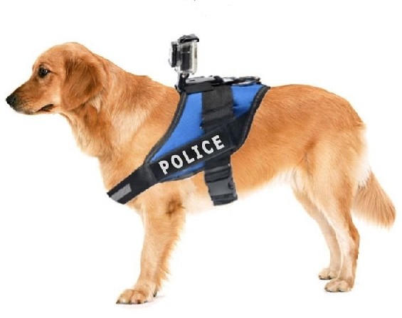 Fetch Hondenharnas - Houder - Riem voor GoPro