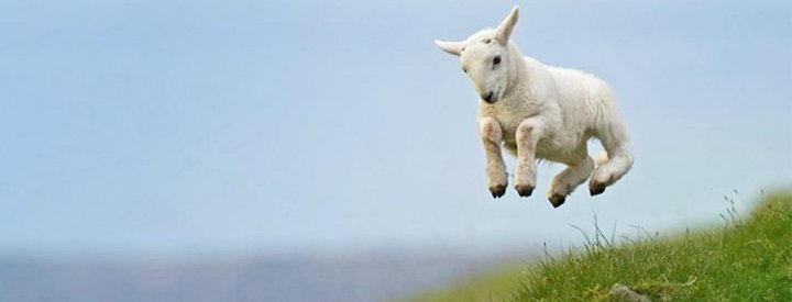 Spring is in the air! Op zoek naar wireless bluetooth speakers!