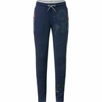 Chaos and Order Broek Daan Chaos and Order Broek Daan