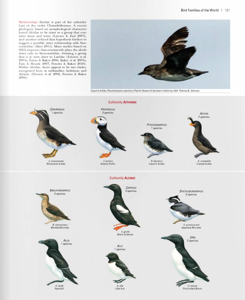 Bird Families of the World