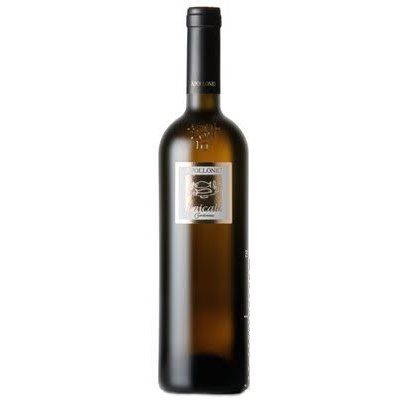 Chardonnay Laicale Salento Bianco Apollonio - Puglia, Italië