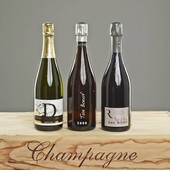 Pakete Blanc de Noirs Paket