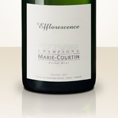 Marie Courtin Efflorescence 2013 MAGNUM