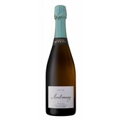 Benoit Marguet Ambonnay 2011 Grand Cru