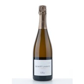 Benoît Lahaye Violaine 2010