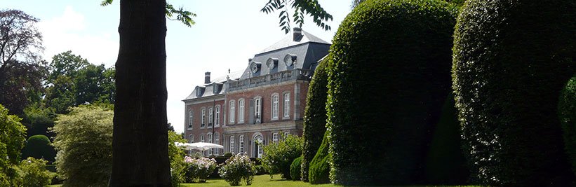 Haagplanten online kopen bij tuinplantenwinkel
