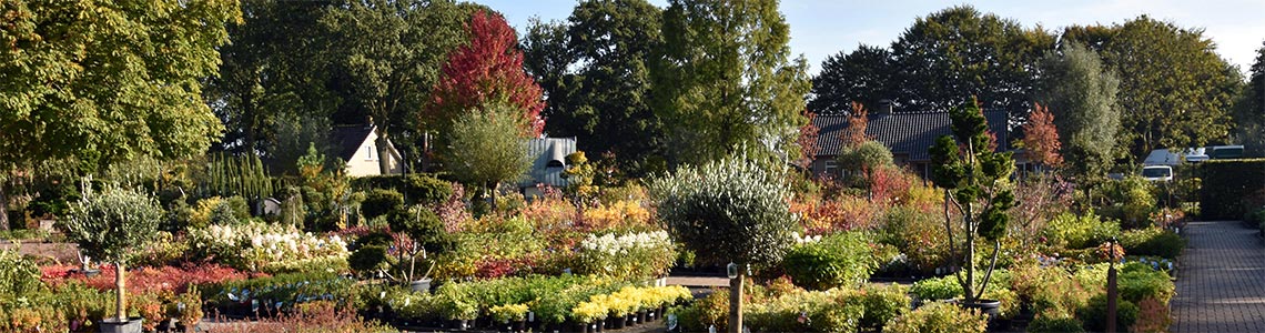 het plantencentrum in de herfst