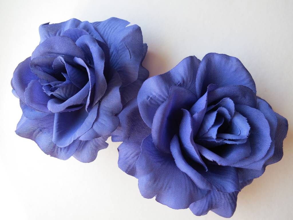 Blue Rose Hair Salon - Home - wide 6
