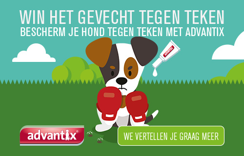 Gelukkig is er Advantix voor jouw hond!
