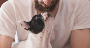 Hoe maak je jouw puppy zo snel mogelijk zindelijk?