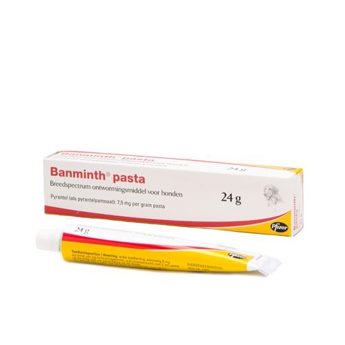 Afbeelding Banminth pasta hond tube 24 gram door Petduka