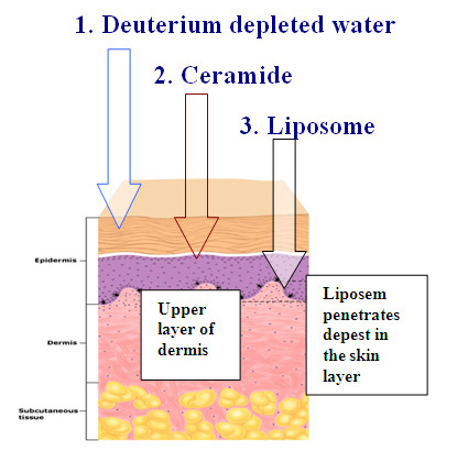 Dr Eckstein lipsome complex
