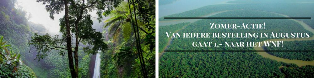 Augustus-actie: Steun het WNF Amazone project!