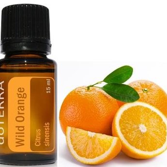 https://www.doterra.com/US/en/blog/spotlight-wild-orange-oil