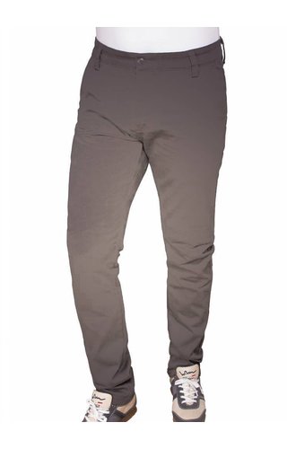 Gaznawi chino bruin Gaznawi chino bruin