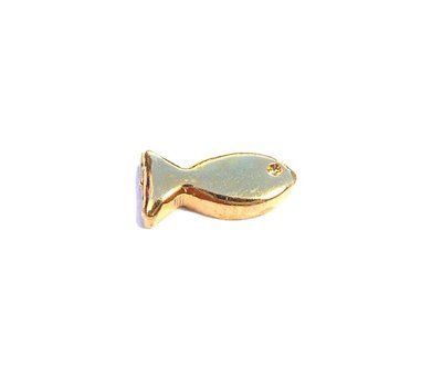 Floating Charms. Floating charm goudvis voor de memory locket