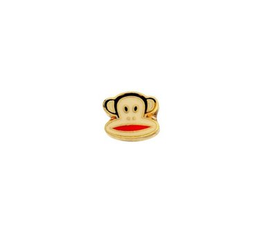 Floating Charms. Floating charm paul frank voor de memory locket