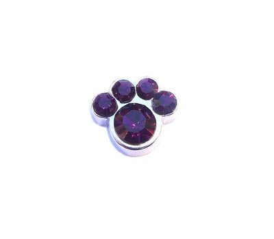 Floating Charms Floating locket charm geboortesteentje hondenpoot februari zilver