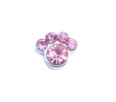 Floating locket Floating locket charm geboortesteentje hondenpoot juni zilver