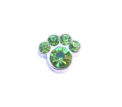 Floating Charms Floating locket charm geboortesteentje hondenpoot augustus zilver