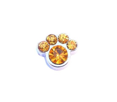 Floating Charms Floating charm geboortesteentje hondenpoot november zilver voor de memory locket