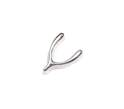 Floating Charms Floating locket charm wishbone zilver
