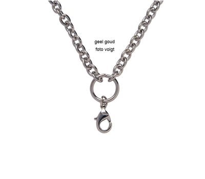 Floating memory lockets Gouden rvs solid loop ketting