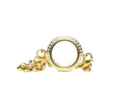 Floating memory lockets Twist rvs gouden memory locket armband met strass