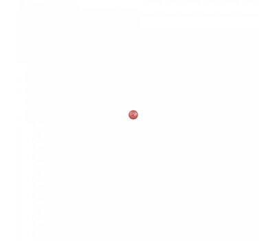 Floating Charms Floating locket charm pareltje coral