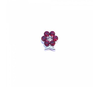 Floating Charms Floating charm geboortesteentje bloem januari zilver voor de memory locket