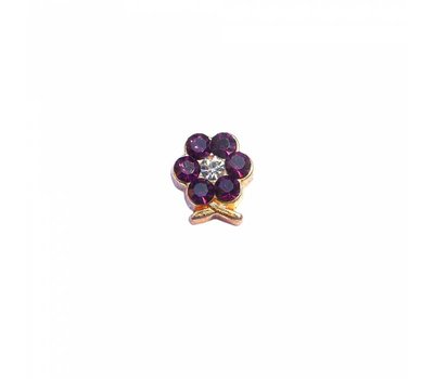 Floating Charms Floating locket charm geboortesteentje bloem februari goud