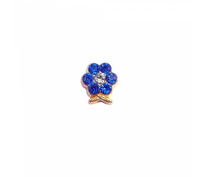 Floating Charms Floating locket charm geboortesteentje bloem september goud